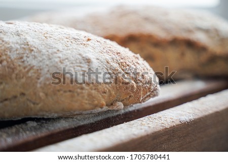 fresh homemade bread on a chopping board in a bakery kitchen, rustic Italian ciabatta                        
