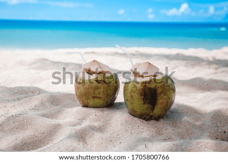 two beautiful coconuts on the sand with sea views. enjoy your holiday at the sea