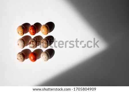 Easter quail color eggs on the black and white background with deep shadows. Picture has copy space and minimalistic style. Trend creative food concept to the holiday. Arrow form.
