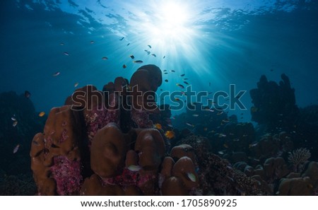 Silhouette with coral reef in the deep blue ocean