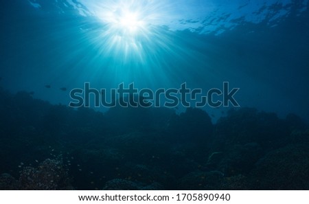 Silhouette of coral reef in the deep blue ocean