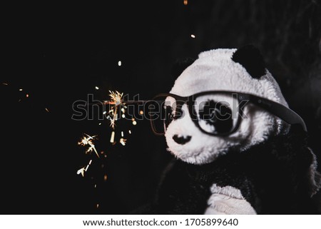 panda in my dark room