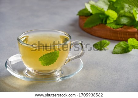  Fresh natural  melissa , lemon balm herbal tea in glass cup.                             Royalty-Free Stock Photo #1705938562