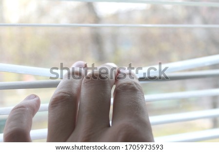 View from the window through the blinds