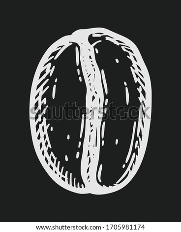 Roasted coffee bean, caffeine symbol. Hand drawn graphic engraving vector illustration in white isolated over black background.