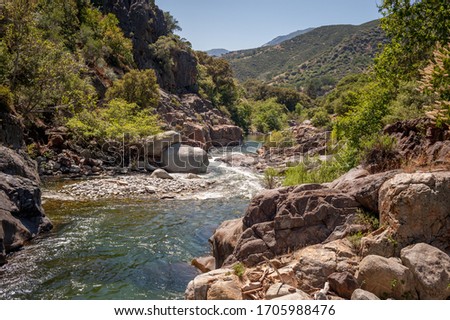 sunny landscape with forest on rocky banks of a mountain stream and mountains and blue sky in the background