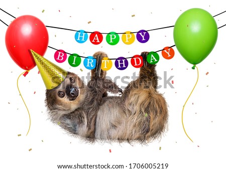 A festive wild sloth animal wears a party hat and hangs from a Happy Birthday banner sign surrounded by balloons and confetti isolated on a white background