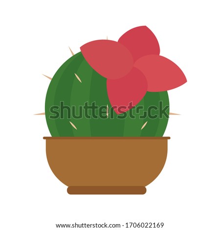 Cactus icon in a pot plant - Vector illustration
