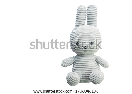 Little rabbit toys isolate on white background. Royalty-Free Stock Photo #1706046196