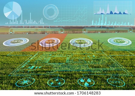 analysis and processing of data on plant growth in the field. Scheduling and regulation of production to increase harvest. Field sensors and virtual reality to help the farmer