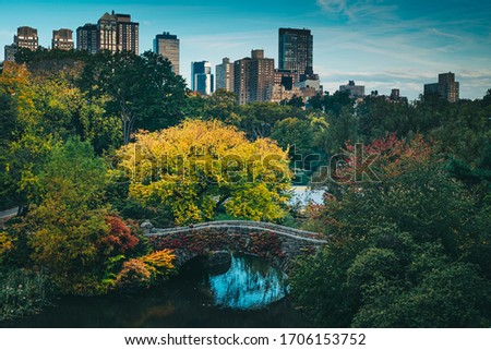 Autumn colour in a fine afternoon at beautiful Central Park, New York, USA Royalty-Free Stock Photo #1706153752