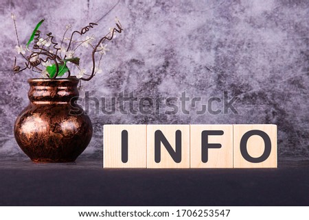 Word INFO made with wood building blocks on a gray background.