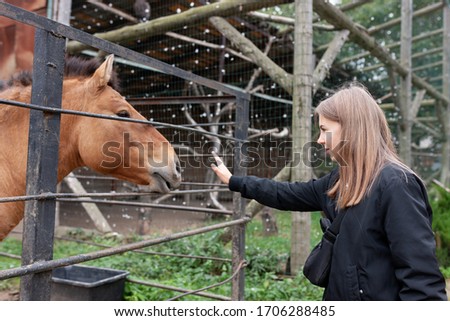 Girl in contact with a horse at the zoo