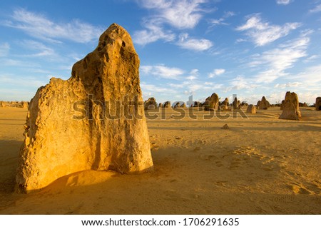 Strange rock shapes in the desert, Nambung National Park, Cervantes, West Australia, Australia.