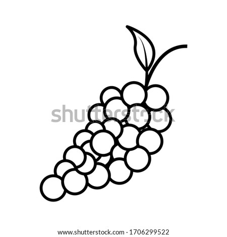 Grape fruit line icon vector