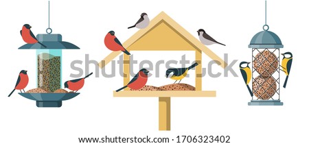 Different types of bird feeders - Hopper Or “House” Feeder, Nyjer Feeder and Suet Feeder. Illustrations in a flat cartoon style isolated on white background.