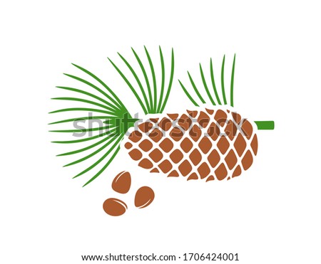 Pine nut logo. Isolated pine nut on white background. Cedar