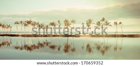 Vintage Tropical Hawaiian beach with coconut palm trees, morning blue sky and turquoise waters - panoramic view Royalty-Free Stock Photo #170659352