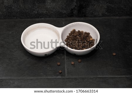 cat food and water in a white bowl in a dark room with dark gray stone tiles top view