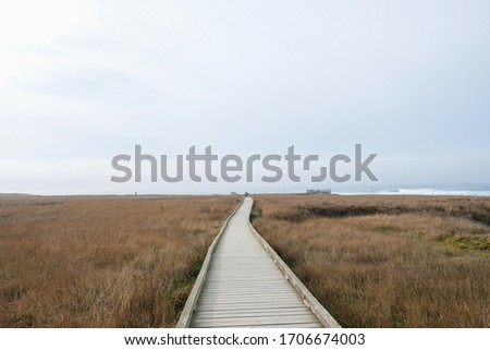A photo of a boardwalk to water