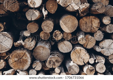 Fire wood background textured picture natural fuel. Pile of fire wood. 