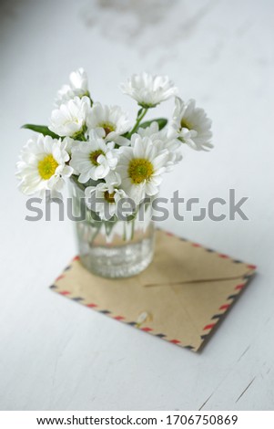White daisies. Beautiful spring white flowers. A gift for a holiday, a holiday of spring mood. Fresh floral
