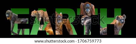 Banner with portrait of most endangered for extinction animals, orangutan, cheetah, gorilla, mandrill and hyena embedded into written earth text as background, closeup, details