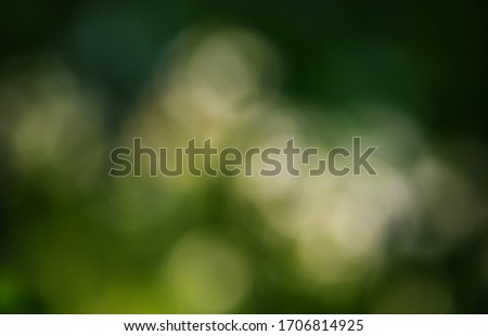 Background of nature - natural bokeh from forest for graphics