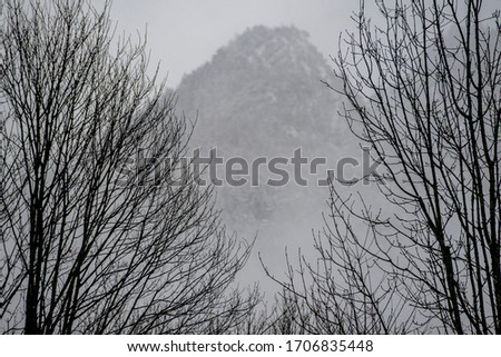 Winter mountains in the Alps with trees and snow.