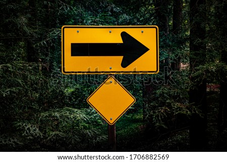 Right Arrow Sign in Soft Forest Light