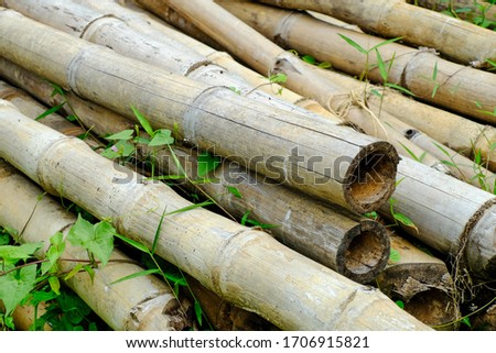 the pile of old bamboo picture and some plant on its  