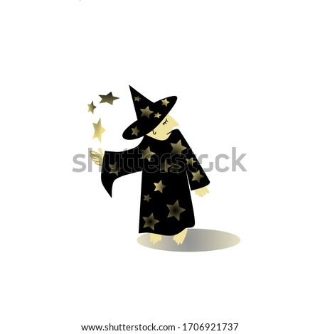 astrologer in a cone hat and mantle with stars