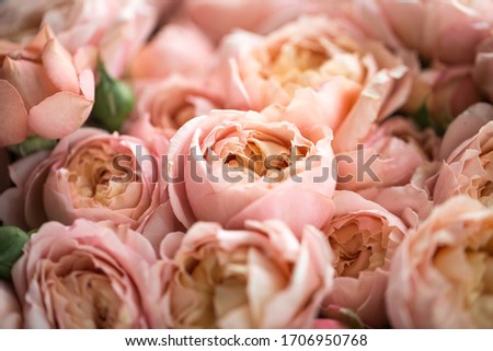 beautiful bouquet of fresh pink roses, vintage style