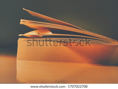 book on a dark background with warm evening light