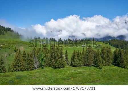 Swiss Alps landscape with meadow, and green nature. Taken in Grindelwald-Männlichen Gondola Cableway, Bernese Alps, Switzerland.