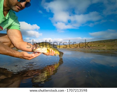 Big Bass Large mouth - Fishing on lake with blue sky at dawn, sunrise