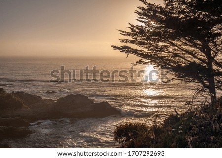 late afternoon view of the ocean shore
