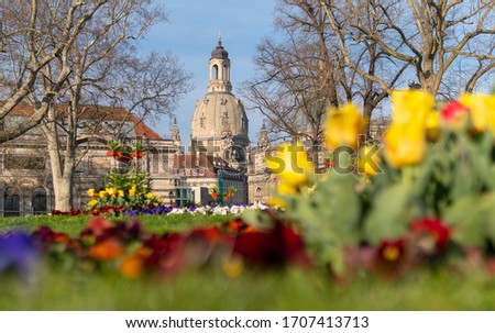 Spring vibes in Dresden, Frauenkirche,  saxony, germany