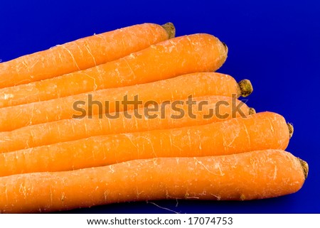 Carrots family isolated on blue background