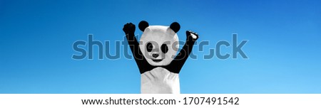 Panoramic portrait of man in costume of panda with hands up, on background of blue sky.