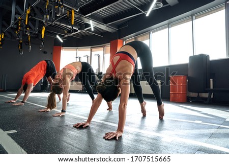 Group of young adult athletic people training together in gym club, making animal flow style session and working out with different position Royalty-Free Stock Photo #1707515665