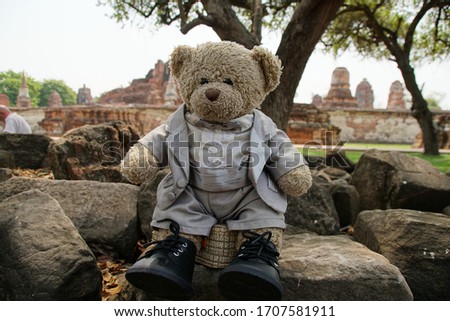 Soft Teddy Bear And Brown Stone Of Old Town, Ayuttaya, Thailand.  