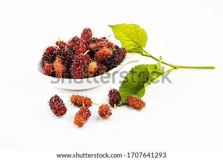 Mulberry and mulberry leaves On a white background