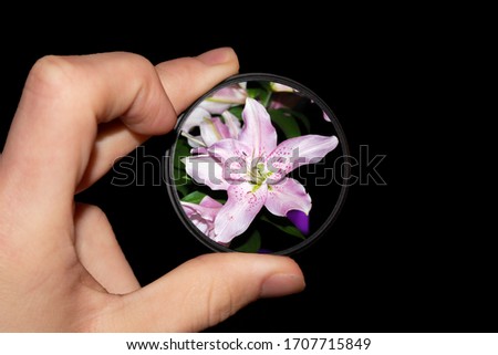 Flower inside a Camera Lens Filter Held by a Hand