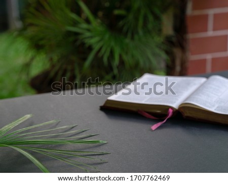 Open bible on black table.  Palm leaves. Soft focus, blur text. Space for text.