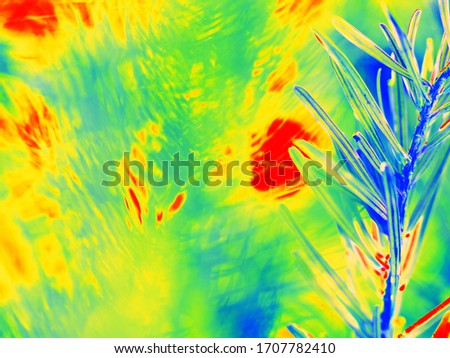 Twig in firing forest scaned by thermal camera. Temperature radiation scan. Infra or thermography photo