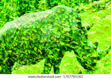 Wonderful Artistic Art of rhinoceros grazing grass
