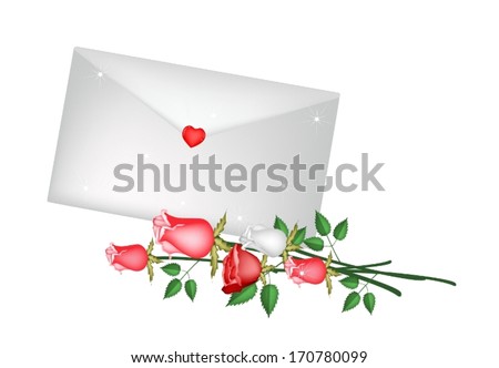 Love Concept, Beautiful Rose with A Valentine Letter or Envelopes For Valentine Day Celebration Isolated on White Background. 