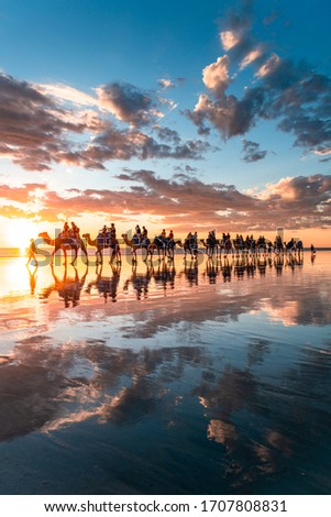 Sunset reflections of the Cable Beach camel ride in Broome Western Australia Royalty-Free Stock Photo #1707808831
