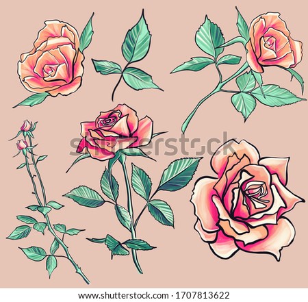 Hand Painted Pink Roses Clip Art. Bright Color Floral Decor with Leaves and Branches. Simple Design Flowers